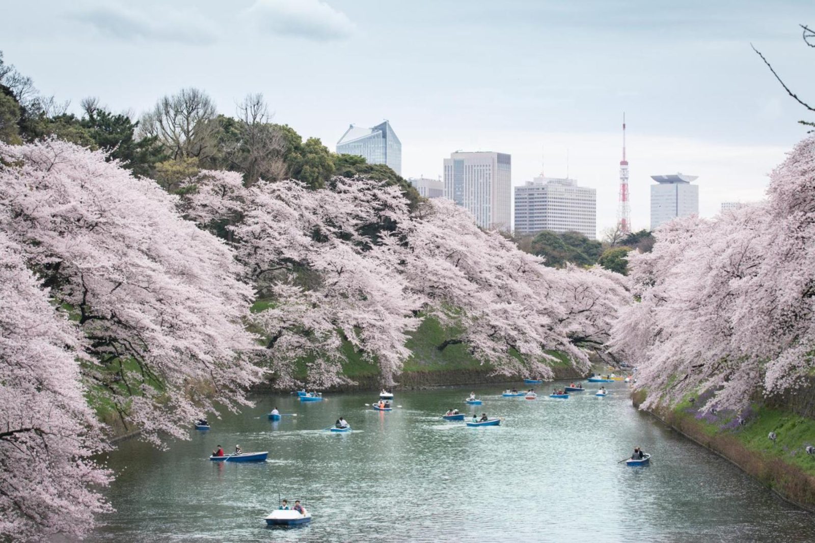 Shangri-La Tokyo — photo 3